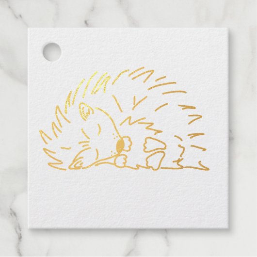 Étiquette-cadeau Sleeping Hedgehog (Devant)