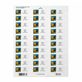 Étiquette Café Van Gogh Terrasse en soirée (Feuille entière)