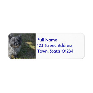 Étiquette Cairn Terrier noir