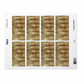 Étiquette Calamari (Feuille entière)