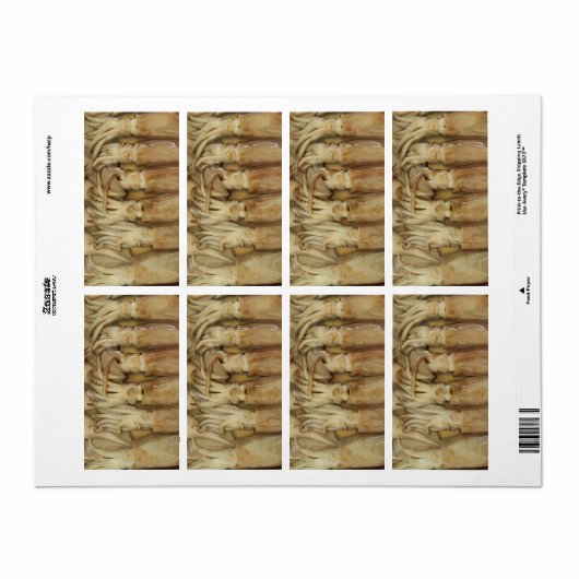 Étiquette Calamari (Feuille entière)