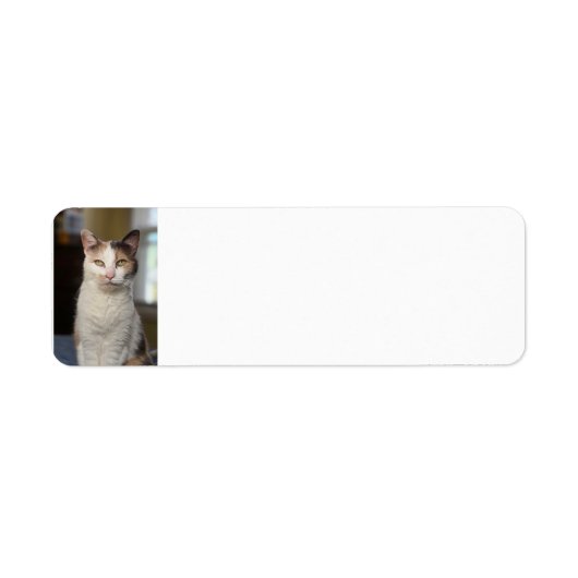 Étiquette Calico (Devant)