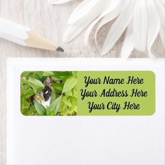 Étiquette Calico Cat dans les Zinnias (En situation)