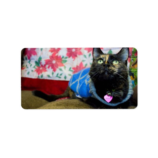 Étiquette Calico II (Devant)