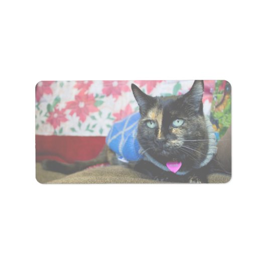 Étiquette Calico III (Devant)