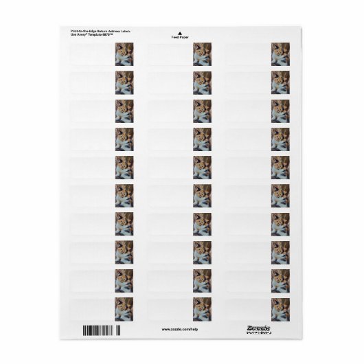 Étiquette Calico kitten (Feuille entière)