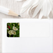 Étiquette Calla lily (En situation)
