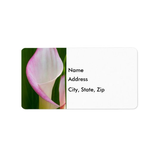 Étiquette Calla Pano (Devant)