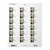 Étiquette Calla Pano (Feuille entière)