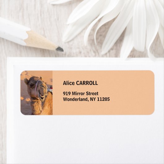 Étiquette Camel avec une drôle d'expression faciale - Oman (En situation)