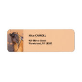 Étiquette Camel avec une drôle d'expression faciale - Oman (Devant)