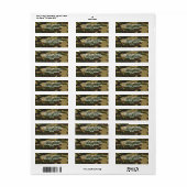 Étiquette Camo vert Dusty (Feuille entière)