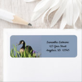 Étiquette Canada Goose Irises Animal Art Adresse (En situation)