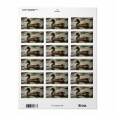 Étiquette Canard (Feuille entière)