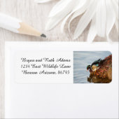 Étiquette Canard à bois sur le rivage (En situation)