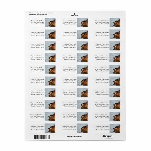 Étiquette Canard à bois sur le rivage (Feuille entière)