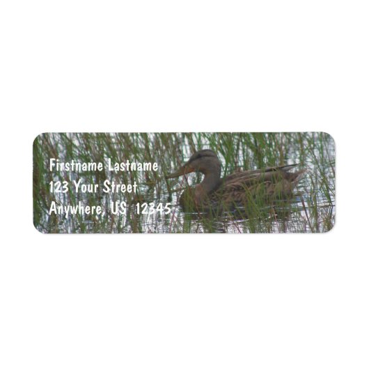 Étiquette Canard Brown Sauvage Dans Pond Nature Adresse (Devant)