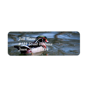 Étiquette Canard en bois de natation