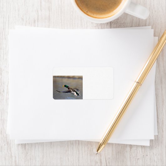 Étiquette canard en vol (En situation)