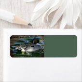 Étiquette Canard Sur Le Lac (En situation)