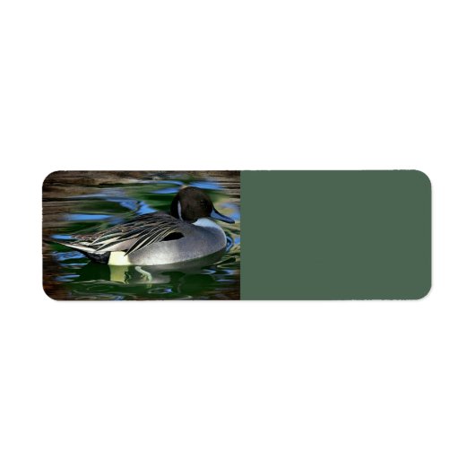 Étiquette Canard Sur Le Lac (Devant)