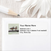 Étiquette Canards à bois (En situation)