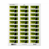 Étiquette Canards encordés noir et blanc Oiseaux verts Eau v (Feuille entière)