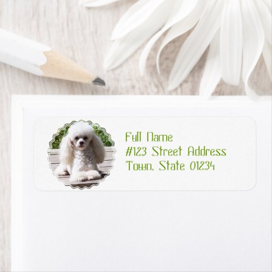 Étiquette Caniche jouet (En situation)