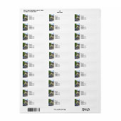 Étiquette Cape May NJ – Café Jackson Street (Feuille entière)