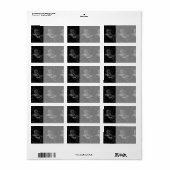 Étiquette Capricorne Constellation Hevelius 1690 sur Noir (Feuille entière)