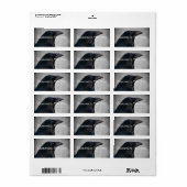 Étiquette Capture du glamour du corbeau (Feuille entière)