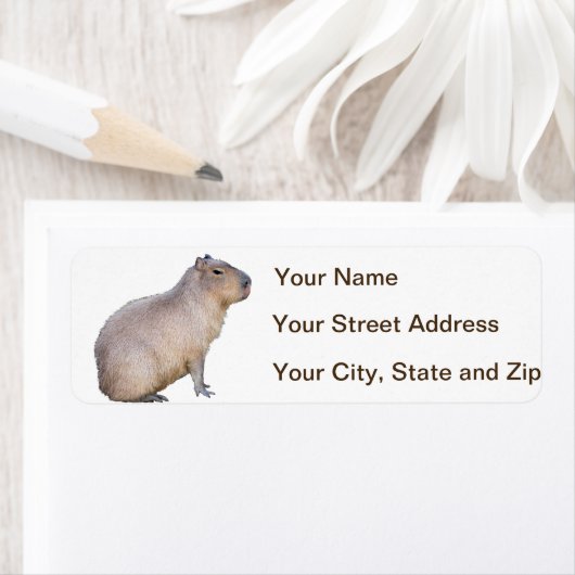 Étiquette Capybara (En situation)