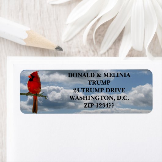 ÉTIQUETTE CARDINAL (En situation)