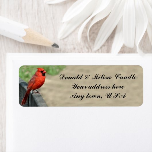 ÉTIQUETTE CARDINAL (En situation)