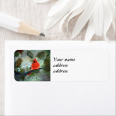 Étiquette Cardinal d'hiver (En situation)