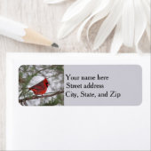 Étiquette Cardinal du Nord (En situation)