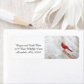 Étiquette Cardinal du Nord sur une branche (En situation)