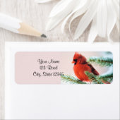 Étiquette Cardinal en Fir de Neige (En situation)