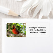 Étiquette Cardinal rouge dans l'arbre (En situation)