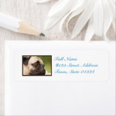 Étiquette Carlin doux (En situation)