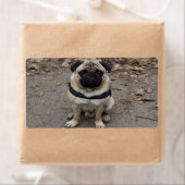 Étiquette Carlin très sérieux (En situation)