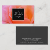 Étiquette carré 02a - Rose (Devant / Derrière)