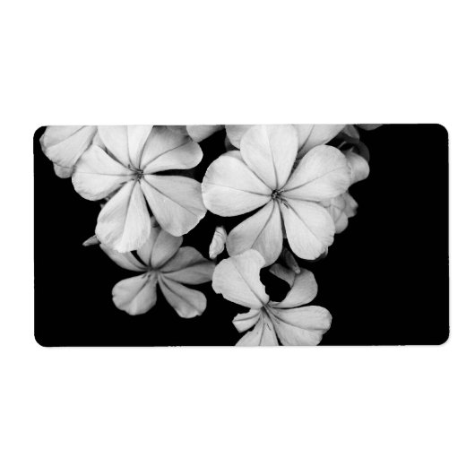 Étiquette carte postale en noir et blanc (Devant)