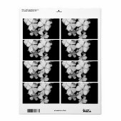 Étiquette carte postale en noir et blanc (Feuille entière)