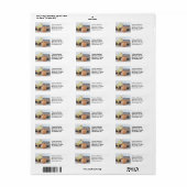 Étiquette Carton de poussin et d'oeuf avec oeuf Brown (Feuille entière)