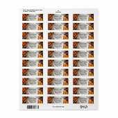 Étiquette Carton d'invitation à aimant Couronne de mariée d' (Feuille entière)