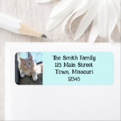 Étiquette Cat (En situation)