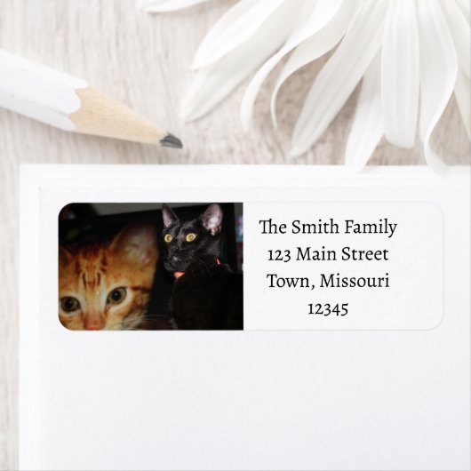 Étiquette Cat (En situation)