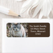 Étiquette Cat (En situation)