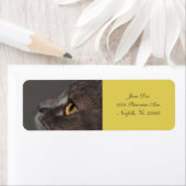 Étiquette Cat Eye-Macro par Shirley Taylor (En situation)